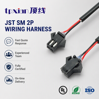 Harness Kabel JST SM 2P Kustom dengan Konektor 2 Pin Pitch 2.5mm dan Pengunci Aman, Kabel Sinyal