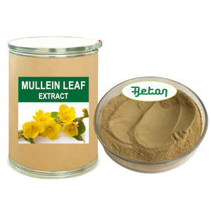 Ekstrak Bubuk Daun Bunga <span class=keywords><strong>Mullein</strong></span> Kering Berkualitas Tinggi Verbascum Thapsus 10:1 Suplemen untuk Paru-Paru Label Pribadi - Product Image 1