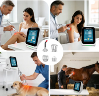 Laser vétérinaire de classe IV, thérapie par lumière rouge infrarouge, laser puissant, équipement de physiothérapie, laser chiropratique pour chiens et chevaux