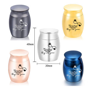 Infinity Symbol urne per cremazione Pet Keepsake urna commemorativa per ceneri umane-i ricordi li mantengono in vita anche dopo che sono andati - Product Image 2