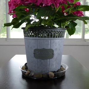 6 pouces plante de jardin clair rond en <span class=keywords><strong>plastique</strong></span> soucoupe fleur planteur Pot plateau - Product Image 5