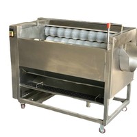 Commerciële Automatische Aardappel Taro Gember Zoete Aardappel Lotus Wortel Zee Komkommer Wasmachine Rolborstel Schilmachine