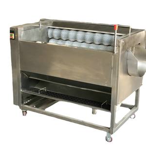 Mesin Pencuci Otomatis Komersial untuk Kentang, Talas, Jahe, Ubi Jalar, Akar Teratai, dan Teripang dengan Sistem Penggosok dan Pengupas Rol - Product Image 4