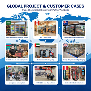 APEX - Refrigerador <span class=keywords><strong>de</strong></span> Bebidas Integrado 2023, Nuevo Refrigerador para Exhibición <span class=keywords><strong>de</strong></span> <span class=keywords><strong>Coca</strong></span>-Cola, Refrigerador para Bebidas Frías - Product Image 4