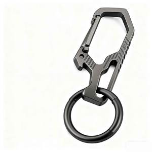 Wholesales <b>Custom</b> New Style Alloy Key Chains Factory Price Titanium Keychain High Quality Carabiner Keychain - Product Image 2
