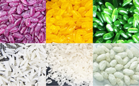Ligne de traitement du riz artificiel toutes capacités, machine extrudeuse de riz nutritionnel à double vis