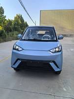 Voiture électrique Seagull Hatchback EV haute performance