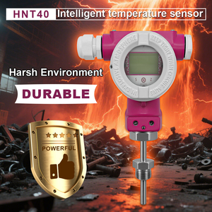 Capteur de température à thermocouple <span class=keywords><strong>Pt100</strong></span> 4-20mA haute efficacité, nouvelle marque, OEM ODM IP65 <span class=keywords><strong>WiFi</strong></span> - Product Image 4