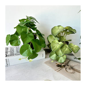 QYY, nuevo producto, planta Artificial de rábano verde con maceta de plástico, decoraciones de escritorio para el hogar para Navidad, graduación, adornos de Año Nuevo - Product Image 2