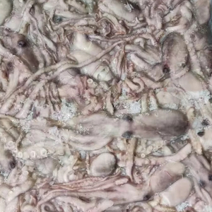 <span class=keywords><strong>Pulpo</strong></span> <span class=keywords><strong>congelado</strong></span> de pierna larga de alta calidad a buen <span class=keywords><strong>precio</strong></span> - Product Image 2