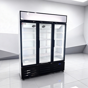 Réfrigérateur à boissons à refroidissement par air à trois portes à bas prix commercial, congélateur vertical à température unique - Product Image 6