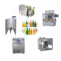 Automatische fruitdrankproductielijn, sapverwerkingsapparatuur, fabrikant van machines voor het maken van vers sapconcentraat