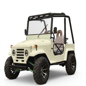 Véhicule tout-terrain polyvalent 4x4 essence/GPL avec attelage de remorque en option, certifié CE, garantie de 2 ans, 2/4/6 places, 150-250 ch - Product Image 1
