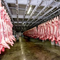 Conteneur de 20 pieds, chambre froide mobile alimentée par énergie solaire, avec moteur automatique, pour la conservation de la viande, des fruits de mer et de la volaille