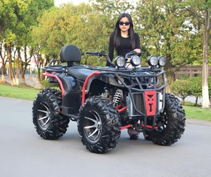 <span class=keywords><strong>Cuatrimoto</strong></span> Deportiva de Alta Calidad para Exteriores, 250cc, 300cc, 350cc, Automática/Manual, 4x4, para Adultos - Product Image 4
