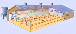 Nhà tiền chế tòa nhà Trọng lượng nhẹ Kết <span class=keywords><strong>C</strong></span>ấu Thép Gà nhà gia <span class=keywords><strong>c</strong></span>ầm trang trại đổ kho xây dựng - Product Image 3