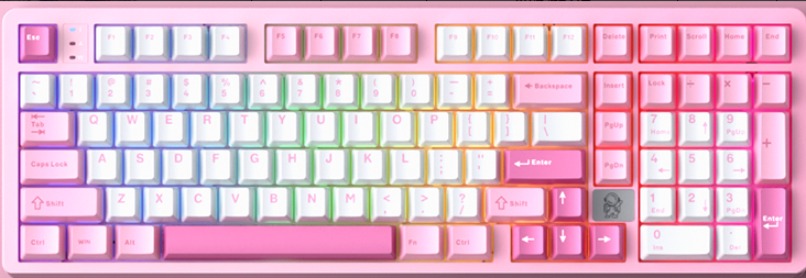Rosa
