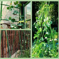 Piquets de jardin robustes de 36 pouces (3 pieds) en métal, revêtement plastique, pour plantes, tomates, haricots, arbres