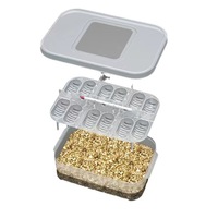 Boîte d'incubation rectangulaire en plastique pour œufs de tortue, incubateur pour œufs de lézard, reptile, poussins, lézard cornu, dragon barbu, thermomètre