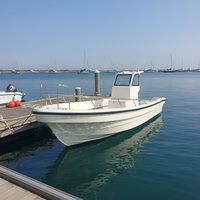 Grandseaboat Nouveau bateau de pêche sportif de petite taille en fibre de verre de 6,8 m avec moteur hors-bord blanc à vendre