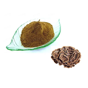 ผง3% สกัดจากหางไก่งวงจาก triterpenes สารสกัดจากเห็ด <span class=keywords><strong>coriolus</strong></span> <span class=keywords><strong>versicolor</strong></span> - Product Image 5