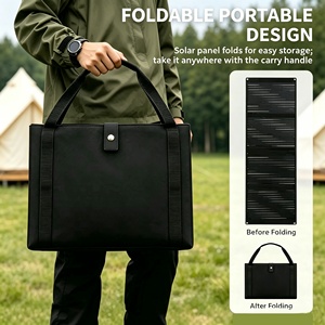 Alecter 60W Foldable Monocrystalline <b>Solar</b> Panel 5V USB 12V Type-C Portable <b>Solar</b> <b>Charger</b> for Mobile <b>Phone</b> Outdoor Camping - Product Image 1