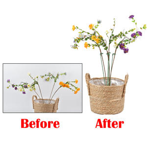 Supports de plantes en plastique 27cm 37cm 48cm, support de fleurs, outil de protection fixe pour plantes grimpantes, fournitures de jardin pour orchidées - Product Image 3