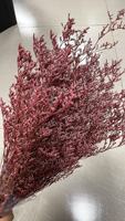 Caspia Misty Limonium Konservierte Natürliche Getrocknete Blumen Großhandel Graspflanzen Hochwertige Caspia