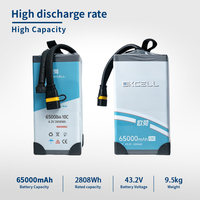 Batterie de drone à haute densité énergétique 65000 mAh 24S 86,4 V, pack de batteries semi-statiques haute performance pour drones à charge utile lourde