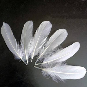 All'ingrosso <span class=keywords><strong>piume</strong></span> d'oca bianche <span class=keywords><strong>piume</strong></span> 15-20cm 6-8 pollici per <span class=keywords><strong>angelo</strong></span> ala Badminton Shuttlecock decorazione in tessuto - Product Image 2