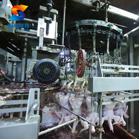 Machine d'abattage de poulet automatisée ZB avec cône de destruction pour poulets de chair