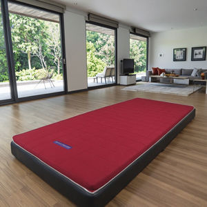 स्काईली 4 डी उच्च रिबाउंड उच्च समर्थन वाशबल तीन-चरण आरामदायक बहुलक गद्दे - Product Image 1