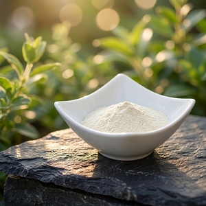 Quitosano Lactato en Polvo Soluble en Agua, Sin Residuos, Materia Prima Ecológica para Producción de Alimentos Orgánicos <span class=keywords><strong>y</strong></span> Agricultura Sostenible - Product Image 1