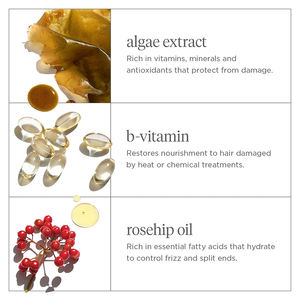 Mascarilla Profunda de Algas y Rosa Mosqueta 236ml, Marca Privada OEM, Vegana, Sin Frizz, Hidrata y da Brillo - Product Image 2