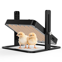 Plaque chauffante réglable en hauteur pour poussins, chauffage économe en énergie pour poulailler, plus sûr que une lampe chauffante, chauffe jusqu'à 25 poussins