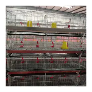 automatic pullets rearing cage system poultry farm breeding chicken cage