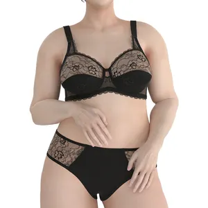 Lingerie Manufacturer Women Plus Size Clothing Ladies Custom Design Big Size Underwear Lace Bra & Brief Sets