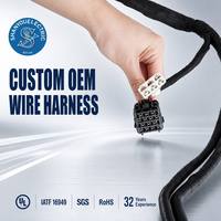 Kabel Harness Motor Tugas Berat Rakitan Kabel Khusus untuk Penggunaan Sepeda Motor dan Mobil, Isolasi Nilon, Berperingkat IP65, Pemasok OEM/ODM