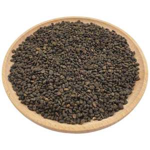 Meilleur prix pour les graines de Psoralea Corylifolia, vente en gros de graines de Babchi, épices en vrac, fournisseur d'Inde - Product Image 3