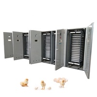 Machine d'incubation d'œufs d'autruche à haut taux d'éclosion, couveuse de poussins, fabriquée en Chine, à vendre