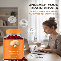 Gummies Crinière de Lion Marque Blanche OEM pour le Complexe Mémoire 10, Soutien à la Concentration, Amélioration de l'Humeur, Boost d'Énergie, Sans Sucre, Supplément Végétalien