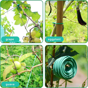 SRX-stile moderno in metallo rivestito in ferro zincato filo di acciaio Pre-taglio pianta torsione cravatta per <span class=keywords><strong>giardino</strong></span> PVC PE erba semina - Product Image 4