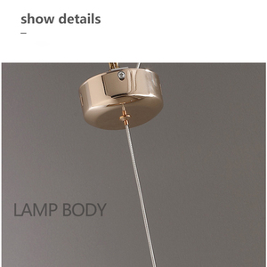 Offre Spéciale luxe créatif Simple cristal <span class=keywords><strong>petit</strong></span> rond acrylique Led suspendu éclairage cercle lustres lampes suspendues lampes modernes - Product Image 6