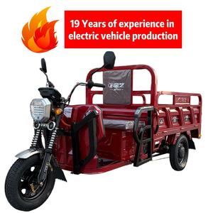 Triciclo Eléctrico de Gran Capacidad con Motor de Alta Potencia para Trabajo Pesado en Fábricas y Granjas - Product Image 1