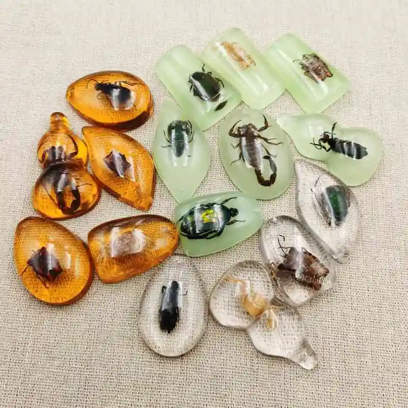राल नमूना में कीट कीड़े संग्रह Paperweights छोटे कीट राल कल्पना सजावट घर के सामान