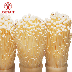 <span class=keywords><strong>Enoki</strong></span>-SETA fresca de alta calidad, producto de exportación de china, cultivo de setas <span class=keywords><strong>enoki</strong></span> - Product Image 2
