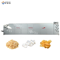 Ligne de séchage à énergie solaire économie d'énergie pour fruits légumes herbes fruits de mer viande grain riz nouilles pâtes