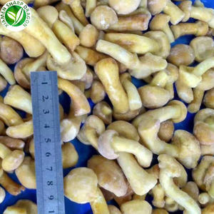 Замороженные грибы плавертус ostreatus для здорового питания IQF - Product Image 5