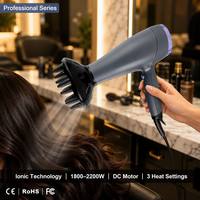 Sèche-cheveux professionnel de salon, moteur ionique DC 2200W, concentrateur, diffuseur pour hôtel et usage domestique