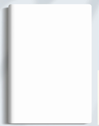 B5-blanc pur